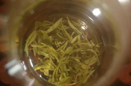 碧螺春正確泡法和飲用，碧螺春茶泡茶方法與溫度