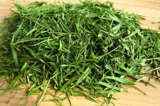 哪類人不適合喝石竹茶，石竹茶的功效與禁忌