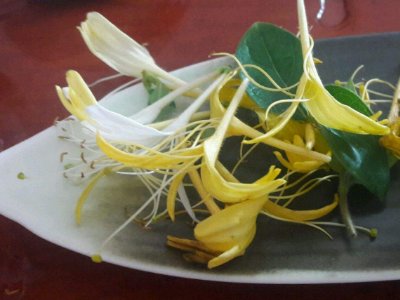 喝茶治口臭嗎，什么茶治口臭好？