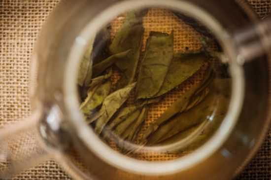 苦丁茶副作用，苦丁可以經(jīng)常喝嗎？