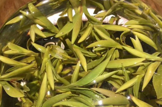 八大茶系都有哪幾種，八大茶系都是什么名字