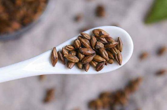 飯店的大麥茶為什么那么香，自己泡的蕎麥茶沒飯店香