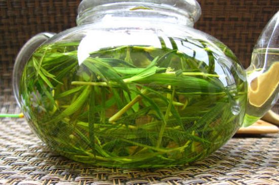 竹葉茶的禁忌，竹葉泡茶的功效禁忌