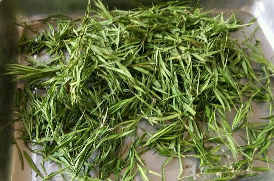 哪類人不適合喝石竹茶，石竹茶的功效與禁忌