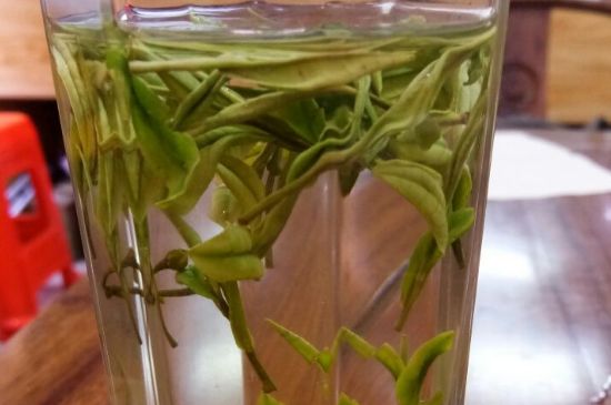 云霧綠茶的功效及禁忌，哪些人不適合喝云霧茶