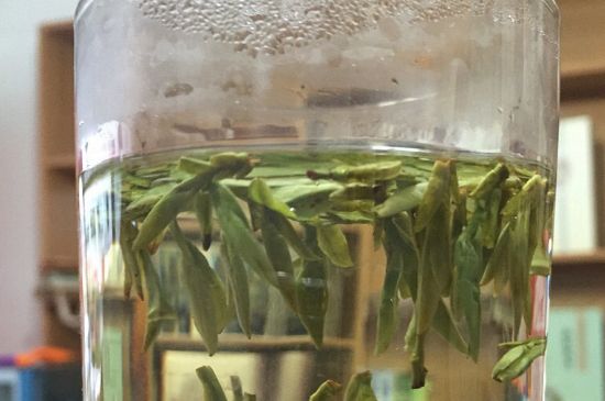 煮茶器能煮龍井嗎，龍井茶能不能用煮茶器圖