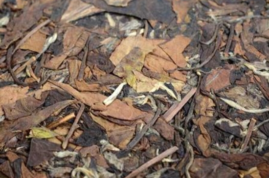 福鼎白茶能長時間悶泡嗎，老白茶可以悶著喝嗎？