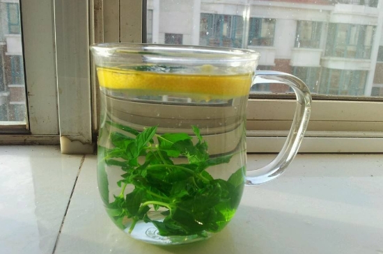 薄荷茶的功效與作用，喝薄荷茶有什么好處？