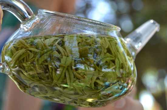 新手學(xué)泡茶的基本常識(shí)，從零開(kāi)始學(xué)泡茶