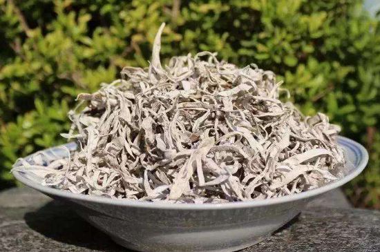 麗江雪茶的功效與作用，白雪茶有什么功效和作用