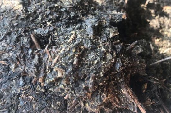 茯茶可以放在冰箱里存放嗎，茯磚茶如何儲(chǔ)存？