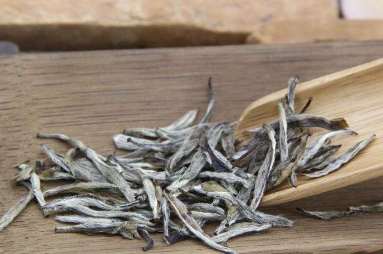 春茶季怎么辨別白毫銀針的好壞，好的白毫銀針如何選購？