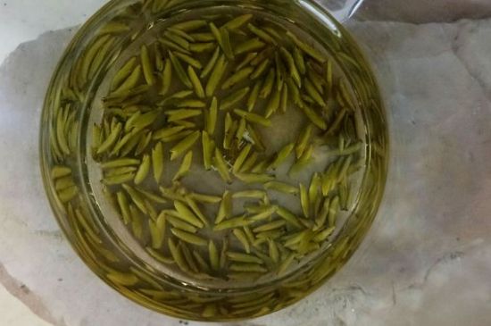 茶葉在哪里買比較好，哪里能買到好的茶葉