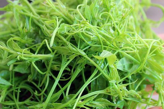 茅巖莓茶別名是什么，莓茶別名叫藤茶嗎？