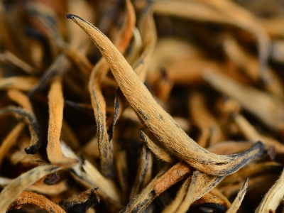 怎么知道什么茶葉適合自己，怎么判斷自己適合喝什么茶？