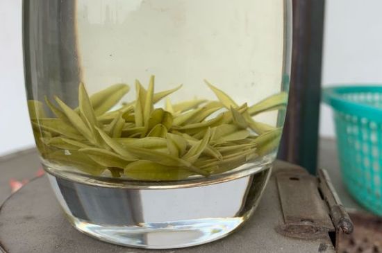 安吉白茶耐寒嗎，白茶適合放冰箱嗎