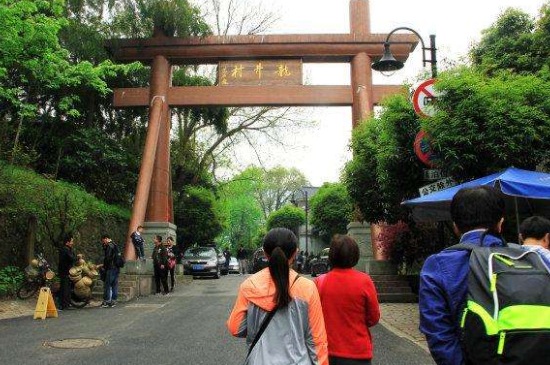 杭州買龍井茶攻略，怎么買到正宗的西湖龍井？