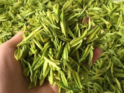 白茶品質(zhì)如何區(qū)分，白茶的優(yōu)劣質(zhì)量辨別方法