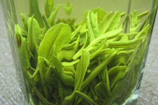 哪種茶葉可以放冰箱，哪些茶不能放冰箱？