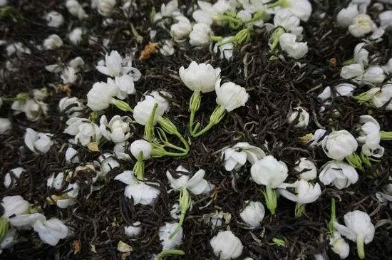 茉莉龍珠怎么做的，茉莉龍珠的制作工藝