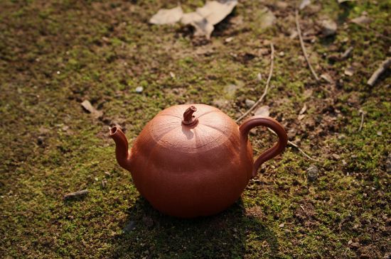 紫砂壺泡什么茶最佳，紫砂壺一般泡什么茶？