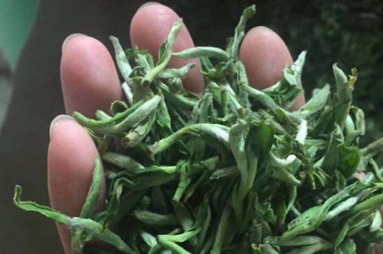 茉莉茶如何制作曬干，自制茉莉茶的做法