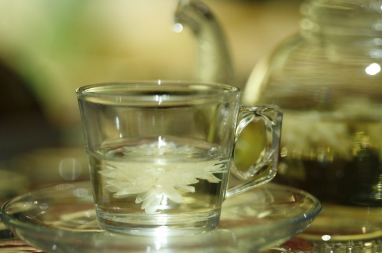 菊花茶天天喝行嗎，每天喝菊花泡茶喝好嗎？