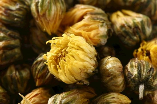 蒲公英搭配大全，蒲公英泡水喝的8種搭配