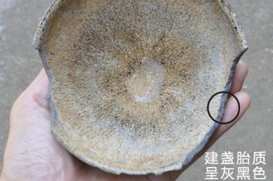 假建盞的特點(diǎn)，真假建盞區(qū)分帶圖