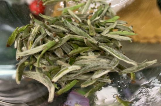 蒸汽煮茶器適合什么茶，蒸汽煮茶器適合用綠茶嗎？