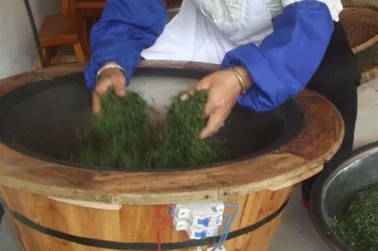 自家炒茶葉怎么炒，自己炒茶葉的步驟