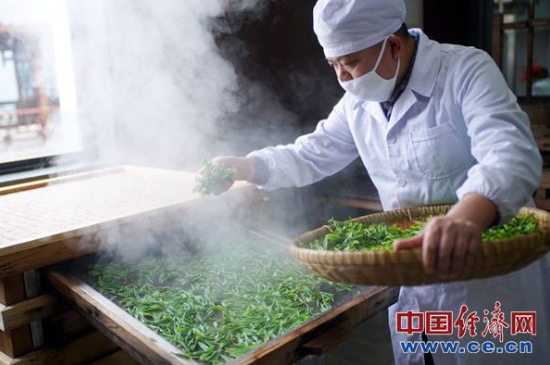 炒青綠茶與綠茶的區(qū)別，烘青和炒青哪個好喝？