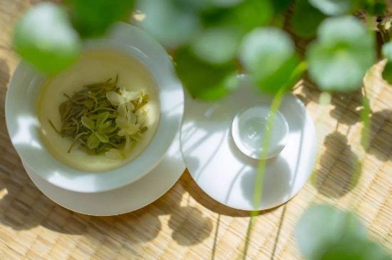 茉莉花茶6種人不要喝，什么體質不適合喝茉莉花茶？