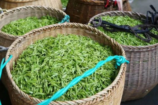 茶葉怎么炒制才香，怎樣炒茶葉更香？