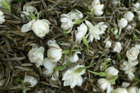 茉莉銀針口感，茉莉銀針是什么味道？