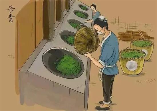 制茶八步驟，制茶工藝流程圖