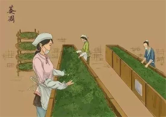 制茶八步驟，制茶工藝流程圖