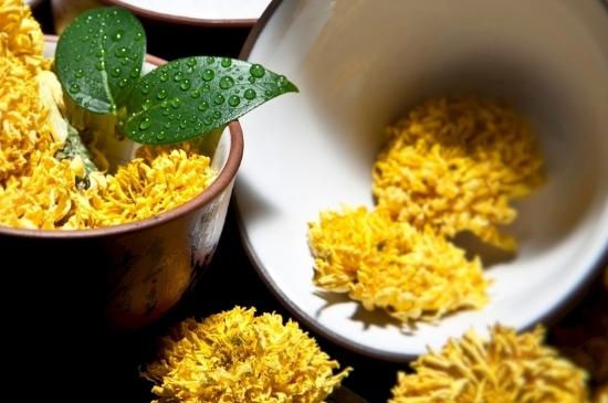 孕婦可以喝菊花茶嗎，菊花對胎兒有致畸作用？