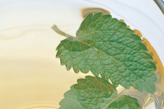 薄荷葉茶怎么制作，薄荷如何做成干茶葉