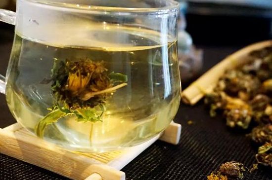 蒲公英最佳搭配，蒲公英茶和什么搭配泡水最佳