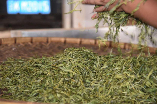 炒青綠茶與綠茶的區(qū)別，烘青和炒青哪個好喝？