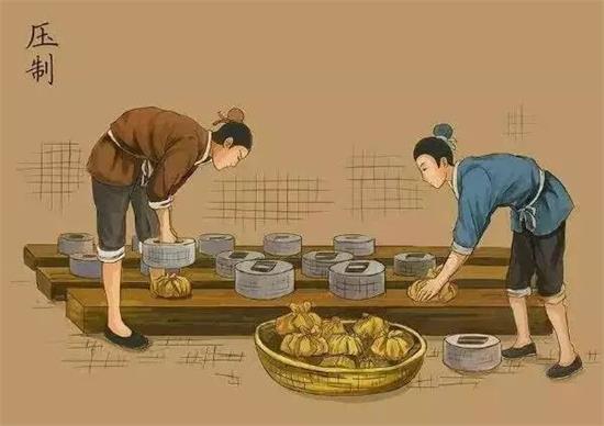 制茶八步驟，制茶工藝流程圖