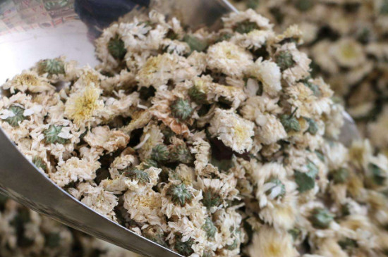 菊花茶買小朵還是大朵，泡茶用的小菊花和大菊花哪個好