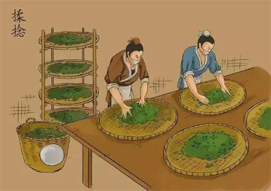 制茶八步驟，制茶工藝流程圖