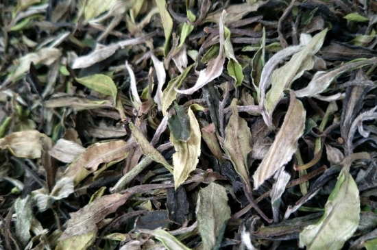 福鼎白茶貢眉和壽眉的區(qū)別，壽眉與貢眉有什么區(qū)別