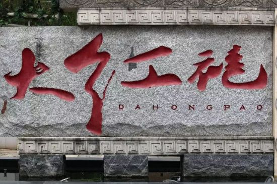 母樹大紅袍給誰喝了，為什么母樹大紅袍叫三棵六株？