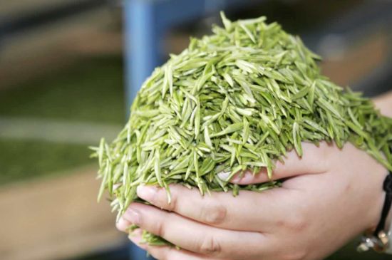 高山云霧茶屬于什么茶，高山云霧茶哪里的最好