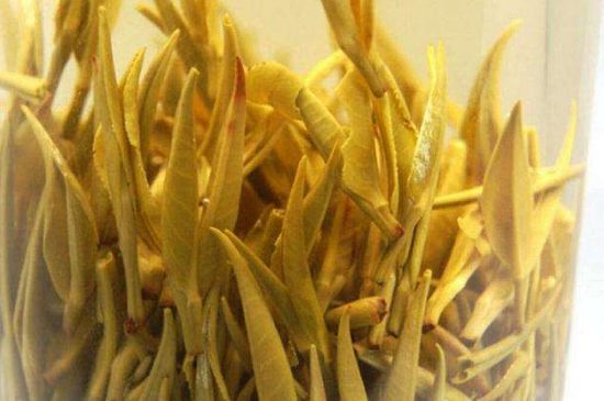 黃茶不適合哪些人喝，黃茶的功效與作用禁忌