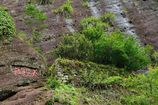 武夷巖茶大紅袍，喝起來是什么味道？