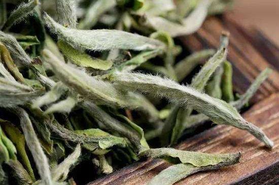 荒野銀針有什么特點，荒野銀針的味道口感咋樣？